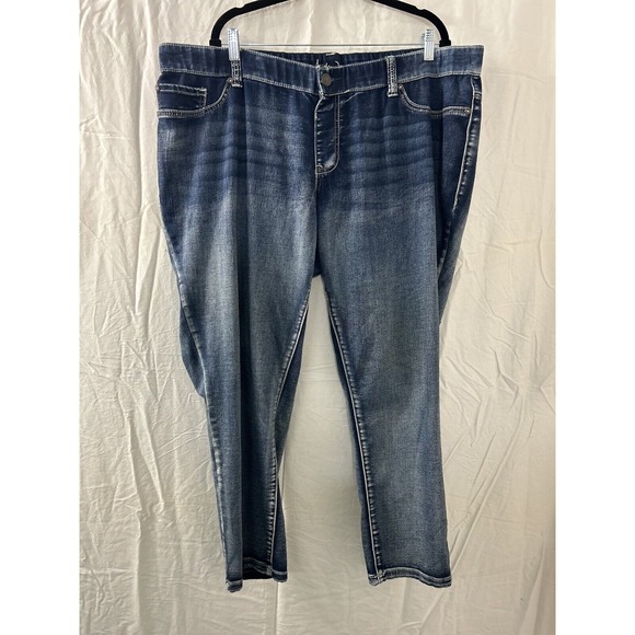 Ariya Jeans Straight Denim‎ Plus Size 22 Embroidered Jeggings - Picture 1 of 11